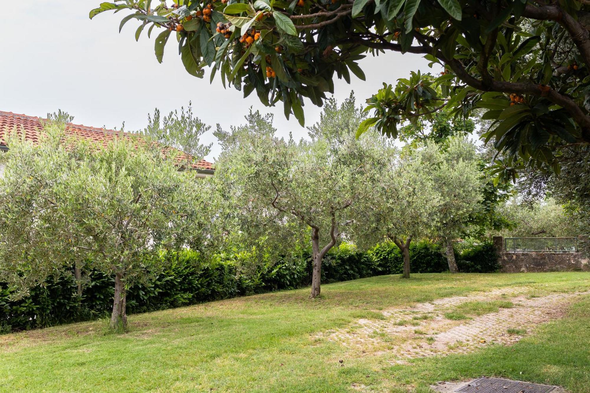Apartments Cipresa Portoroz Exterior photo